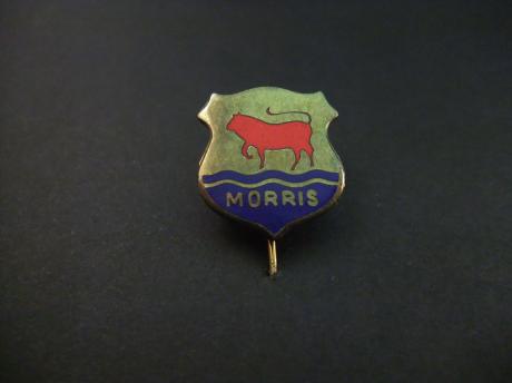 Austin Morris Brits automerk logo emaille uitvoering